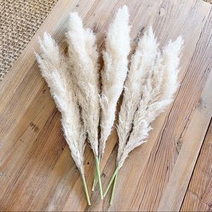 Cream Dried Pampas Grass Bohemian Floral 5 Stems